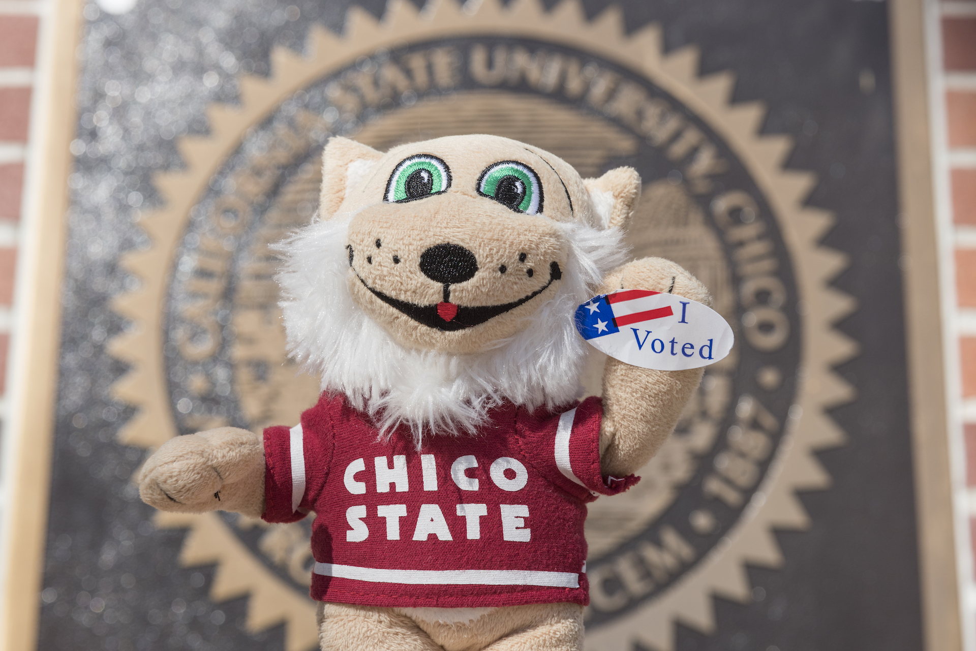 Photo of Stuffed Animal Willie with an 'I voted' sticker