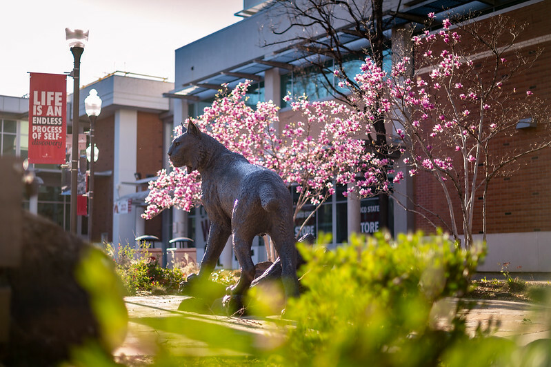 A wildcat statue with a building and flowers in the background.