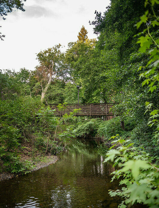 A creek with trees on both sides and a bridge crossing over