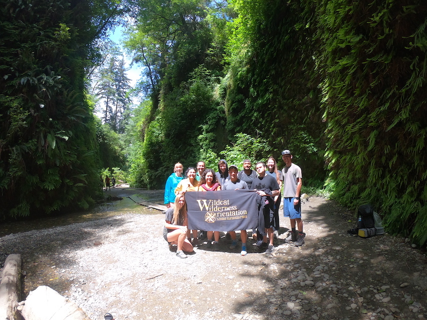 Photo of a group of students holding a WWO banner in a grove of trees
