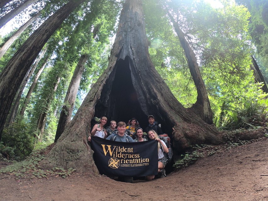 Photo of group in a tree well holding a WWO banner