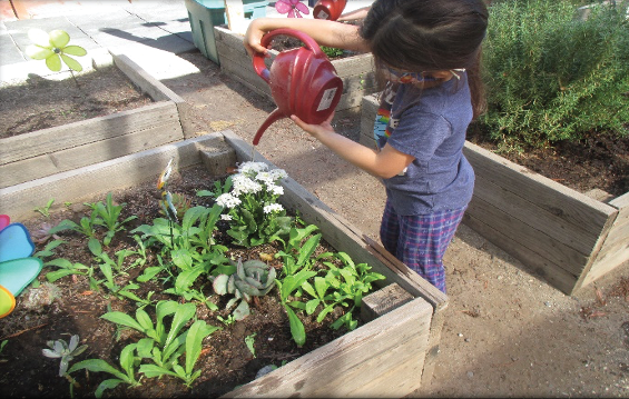 Photo of child watering flowers in a raised garden