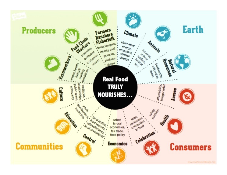 An image simply illustrating the web of Food Production and Distribution in America