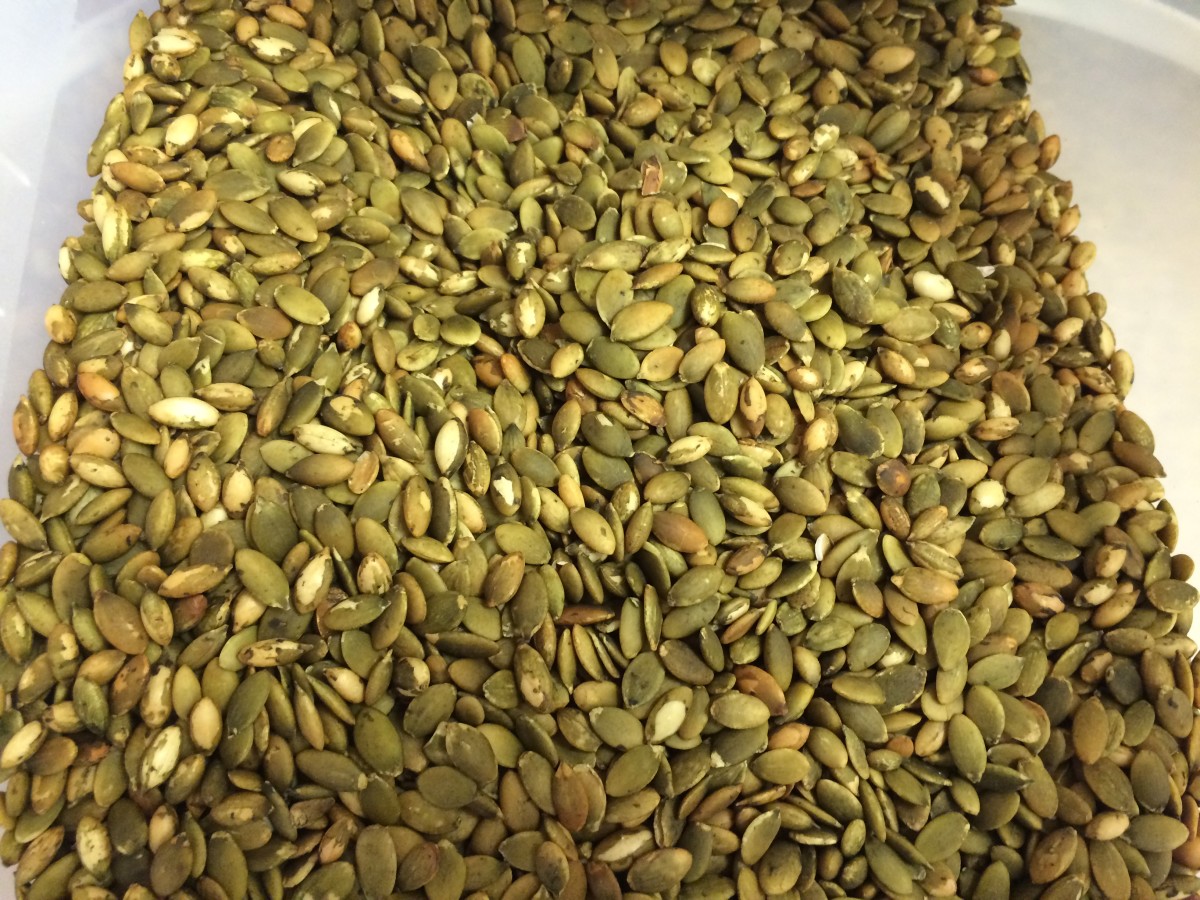 Pumpkin seeds at the Gulch. Rations, seeds, breakfast, snacks, trail mix.