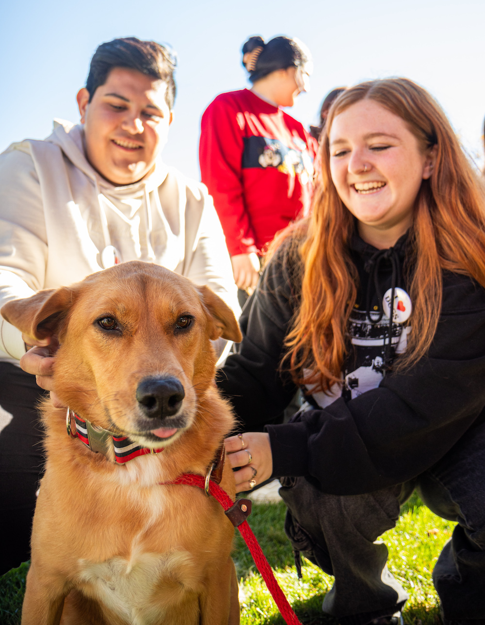 Photo of students petting dog