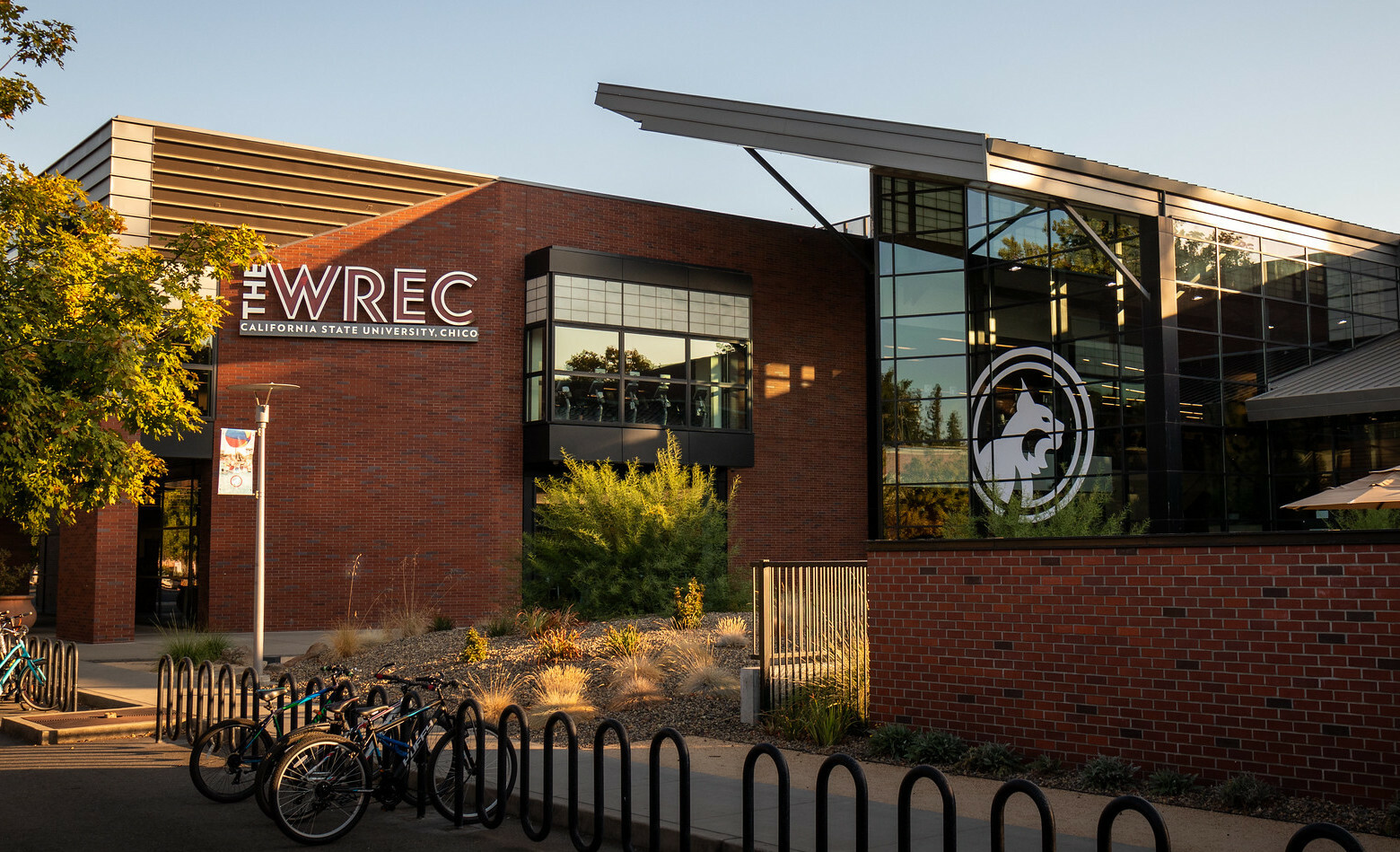 Image of the outside of the Wildcat Recreation Center during evening sunshine.