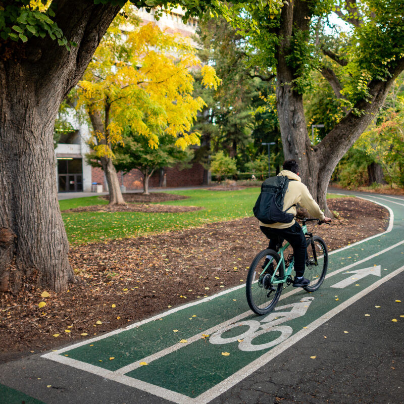 Associated Students… | Associated Students of CSU, Chico - Chico State