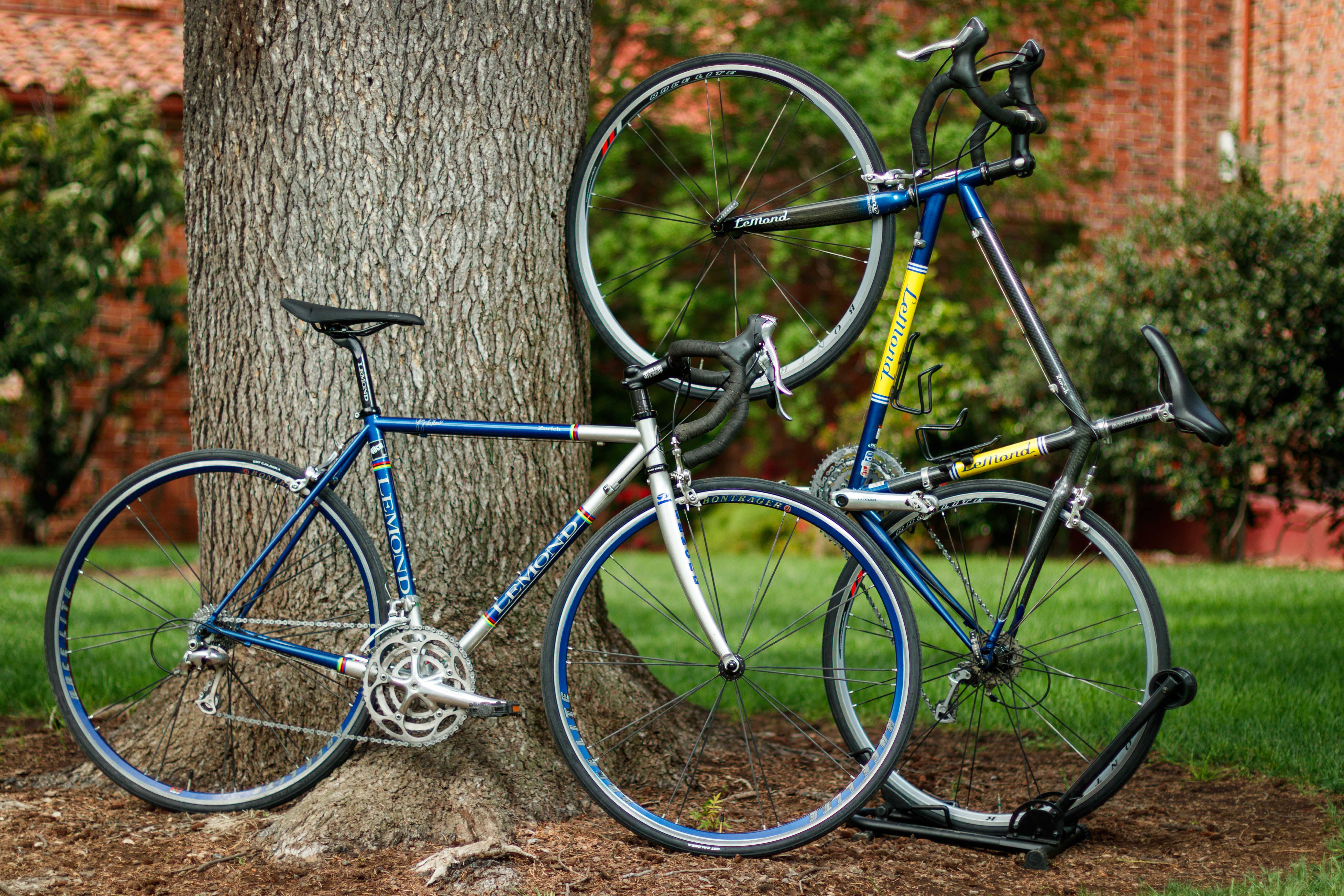 Bikes #31 & #30 in the the upcoming Bike Auction are seen on Monday, Mar. 30, 2026 in Chico, Calif. 
(Dash Ferrero/AS Photographer/Associated Students of CSU, Chico)